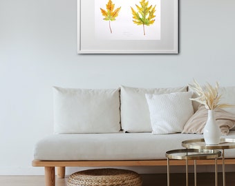 Maple leaf watercolor botanical illustration | Downloading | Printable illustration | Wall Decor