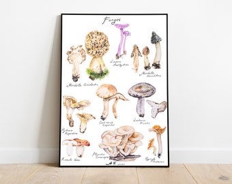 Mushrooms digital illustration | Botanical | Watercolor | Painting | Printable illustration