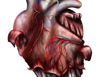 Heart. Digital illustration PNG