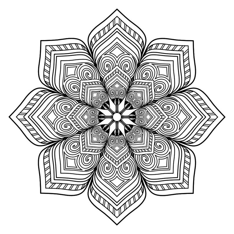 Money Mandala Adult Coloring Pages Instant Download Printables Coloring sheets image 2