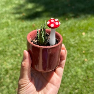 Customizable Single Glass Mushroom Plant Stake (Made to Order)