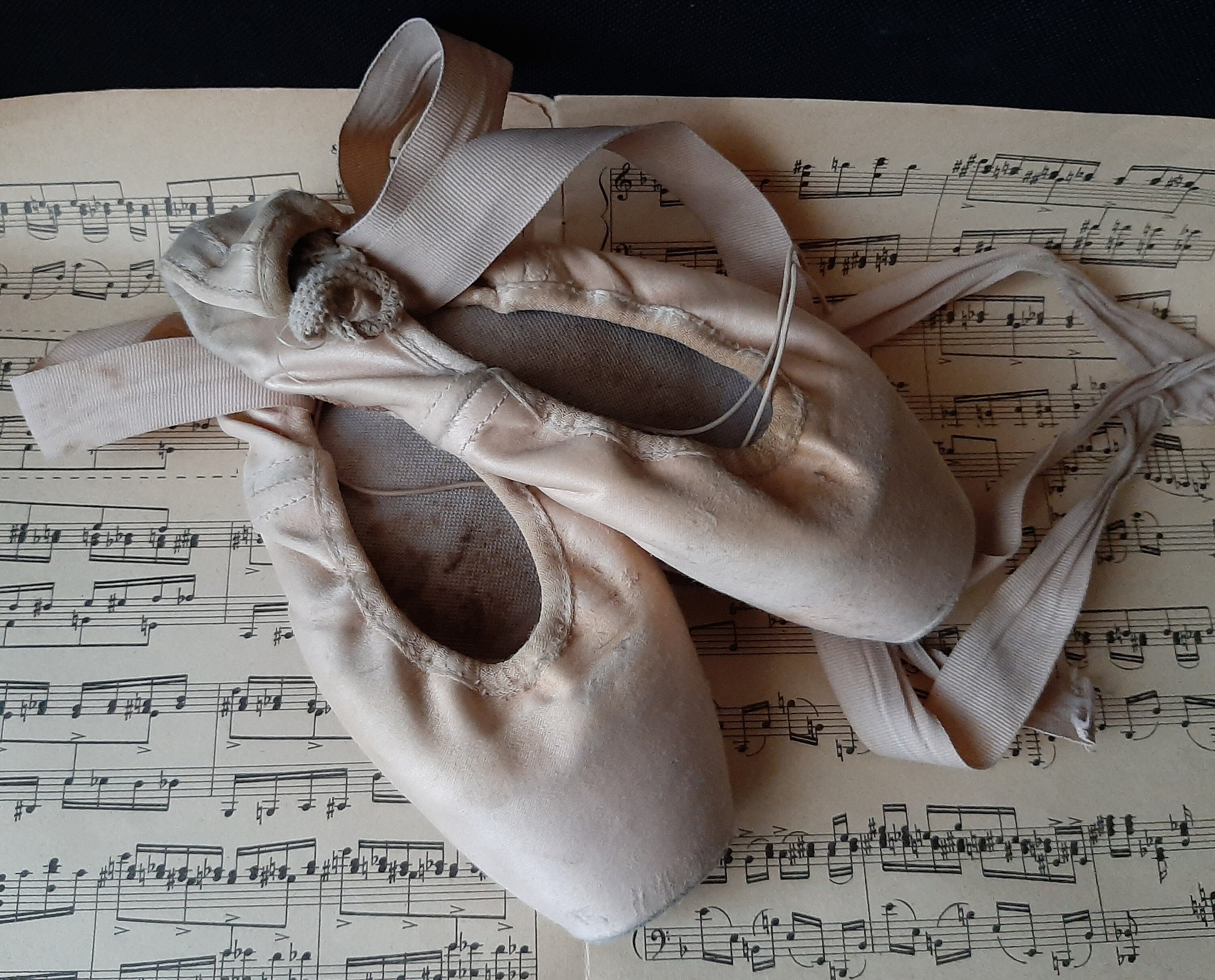 Vintage hotsell ballet shoes