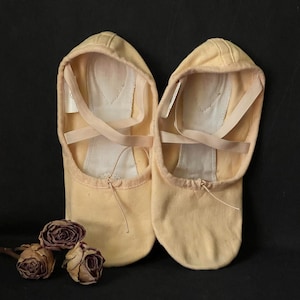 Vintage Ballet slippers Split soles Worn ballerina shoes Old Training ballet shoes Shabby Chic ballet boudoir Ballet teacher gift