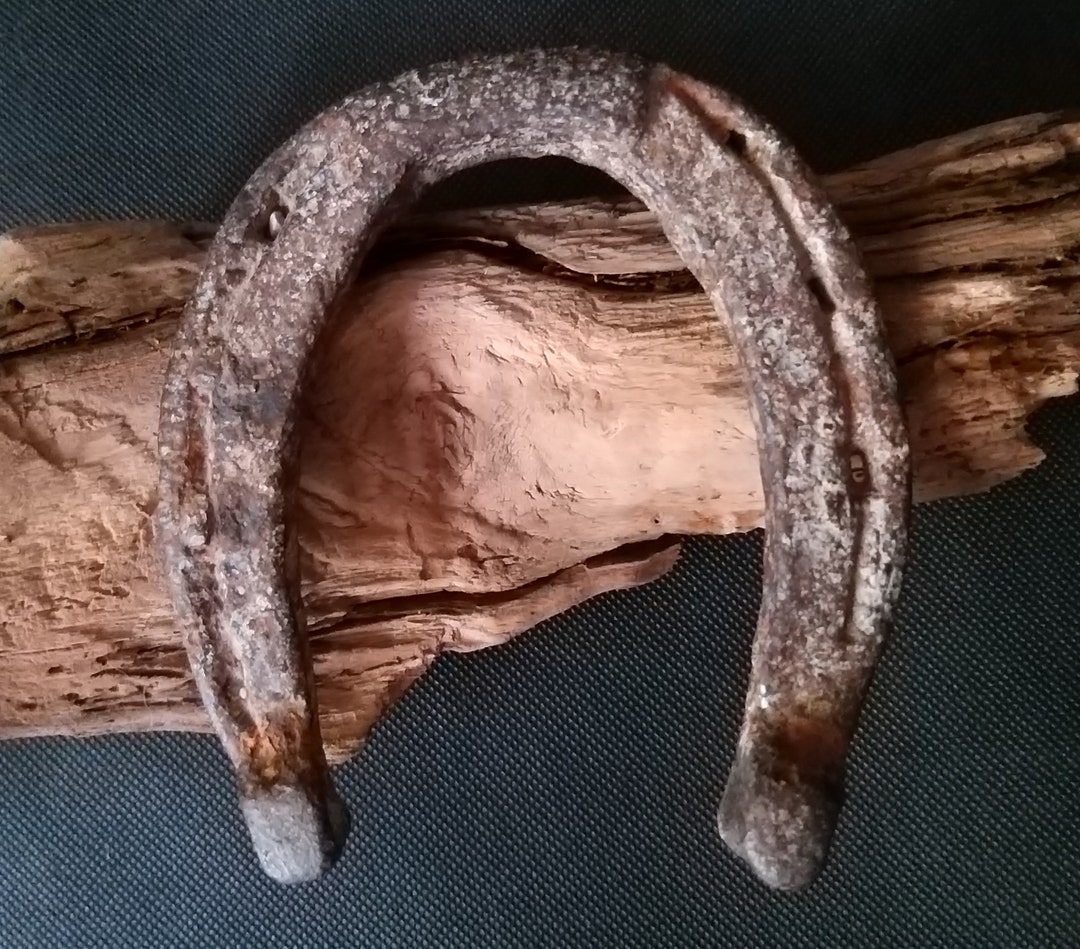 Vintage Rusted Metal Horse Shoe Good Luck Gift Horse Shoe Etsy