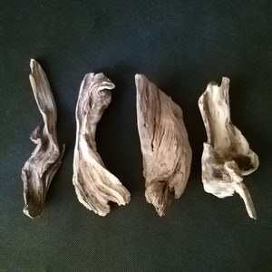 Könnte beinhalten: Vier Treibholzstücke mit verwittertem, graubraunem Aussehen. Jedes Stück hat eine einzigartige Form mit Kurven und Texturen. Das Treibholz ist auf einer dunkelgrünen Oberfläche angeordnet und erzeugt eine natürliche, rustikale Ästhetik.