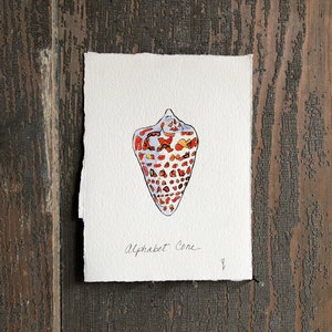 Original Watercolor and Ink Seashell Painting : lettered olive