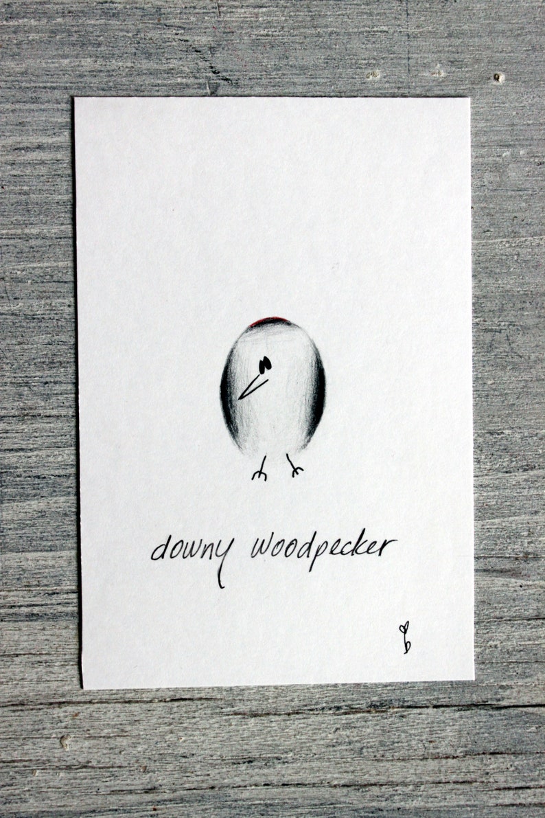 NOT A PRINT Original Colored Pencil Drawing Nerdie Bird Downy Woodpecker