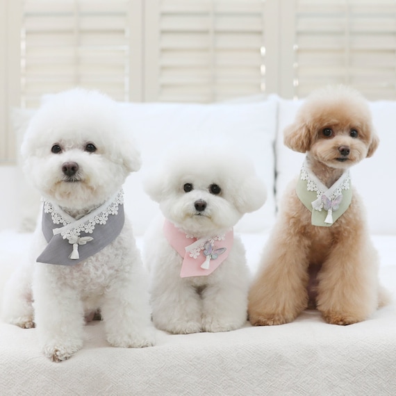Hanbok for dogs cheap