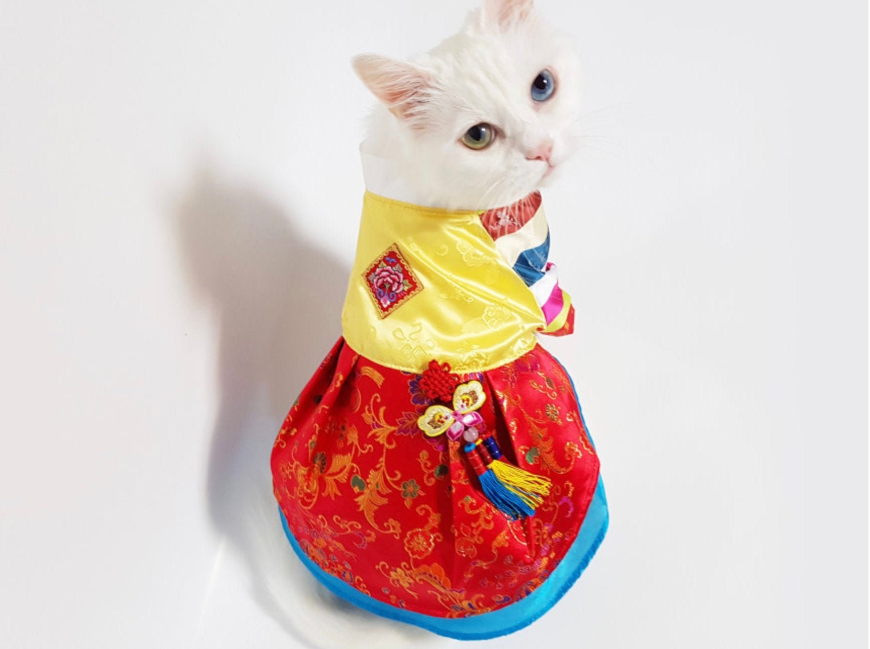 Princess Hanbok Pet Hanbok Koean Pet Clothing Dog Fashion Etsy