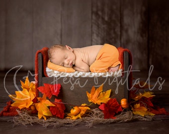 Autumn newborn digital backdrop with wooden bed and Maple leaves background, Digital backdrop for boy and girl