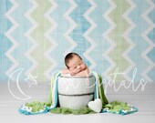Digital backdrop newborn bucket, newborn photography digital background summer, Photoshop background white bucket, Newborn backdrop bucket