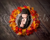 Colorful newborn digital backdrop with maple leaf bowl and wooden background, Autumn themed digital photography background for boy and girl