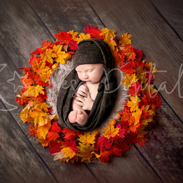 Colorful newborn digital backdrop with maple leaf bowl and wooden background, Autumn themed digital photography background for boy and girl