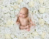 Flowerwall Digital backdrop for Newborn Photography , Floral digital backdrop, White rose flowers