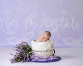 Lavender White bucket Digital Newborn Backdrop, Purple photography background, natural backdrop for girl, butterfly pattern photo prop