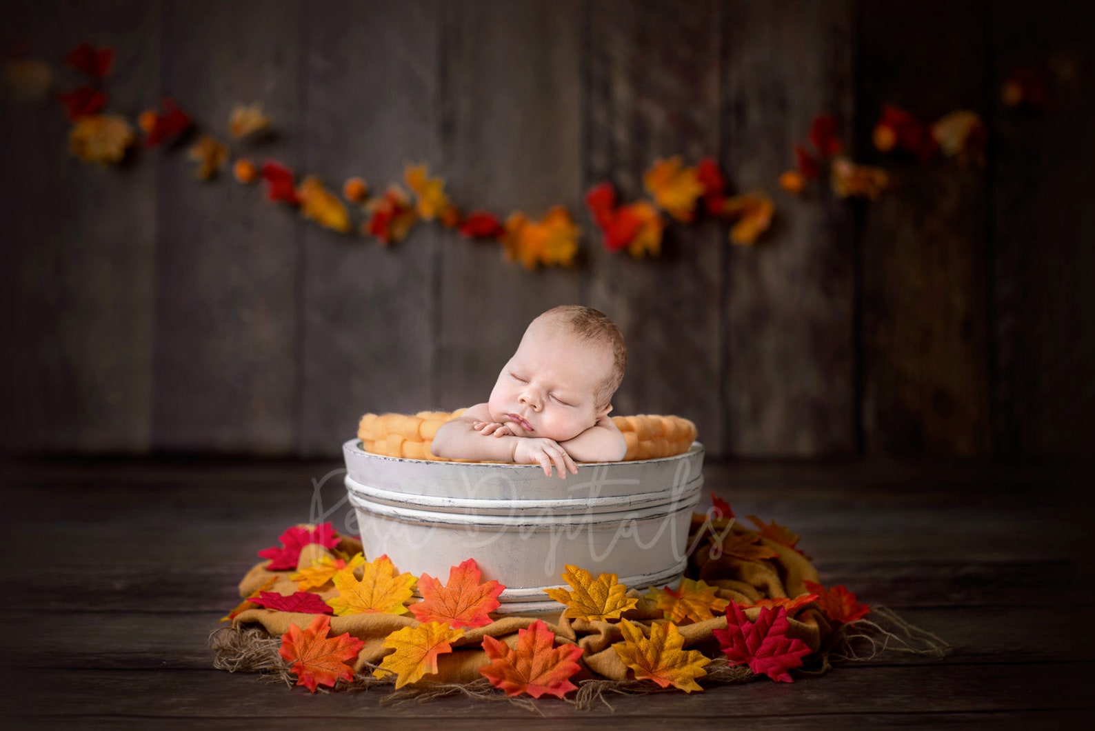 Colorful Fall Digital Newborn Backdrop With Wooden Bucket and - Etsy