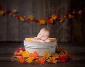 Colorful fall digital Newborn Backdrop, with wooden bucket and maple leaves
