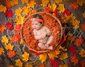 Autumn newborn digital backdrop with brown wooden bowl and Maple leaves background, Digital backdrop for boy and girl