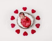 Red Hearts Digital Backdrop, Newborn Digital Backdrop, Heart Backdrop, Newborn Backdrop, Hearts Girl Background, Red Hearts, Girls