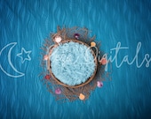 Digital Backdrop Newborn Digital Background, Digital Backdrop, Newborn Photo Prop, Seashell Backdrop, Digital backdrops, Backdrop Boy Girl