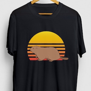 Marmot Retro Sunset Marmot Gift, Funny Zookeeper Shirt, Funny Animal tee, Marmot Hoodie / Youth Shirt / Unisex T-shirt
