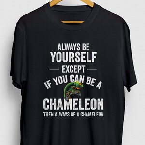 Be A Chameleon Chameleon Gift, Funny Lizard Shirt, Funny Reptile tee, Chameleon Hoodie / Youth Shirt / Unisex T-shirt
