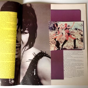 Raygun Magazine Issue 17 Perry Farrell, Nine Inch Nails, Joan Jett, The Cramps Graphic Art, David Carson Graphic Design Lovers image 3