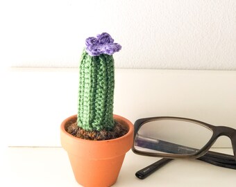 Crochet cactus green with purple flower in terracotta pot