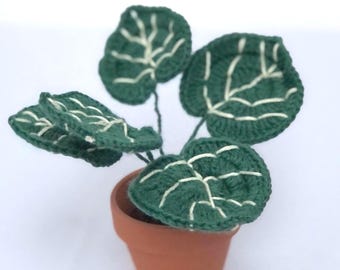 Planta de Alocasia tejida a mano a crochet / Planta de algodón en maceta de terracota