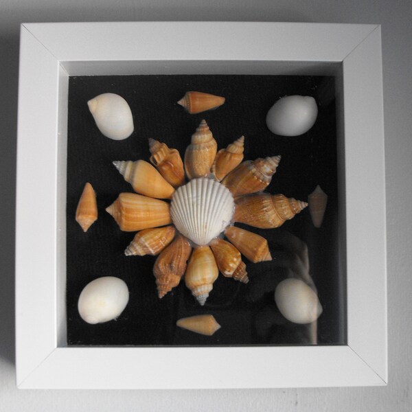 Individual (7 inch square) Seashell Shadowbox  - White Finish #4