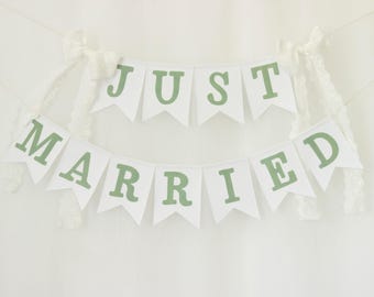Just Married Banner for Wedding Car, Bride and Groom Garland with Cotton Bows, Wedding Backdrop Decor, Custom Wedding Banner
