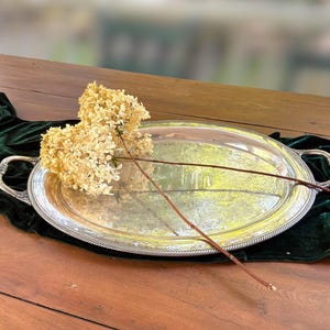 May include: An oval silver-toned serving tray with ornate handles and a beaded rim. Two dried, light beige hydrangea flower heads with long, thin brown stems are resting diagonally across the reflective surface of the metal tray.