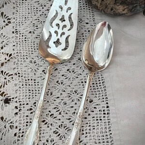 May include: A silver-plated cake server and a matching silver-plated spoon. The cake server features a triangular blade with an intricate cutout pattern, while the spoon has an oval bowl. Both utensils have ornate floral embossed handles.