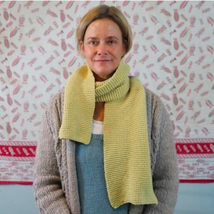 Almost Free Knitting Pattern - Beginner Scarf PDF Pattern - Easy Knitting Pattern - Knitty Kitty - Beginner Knit Pattern