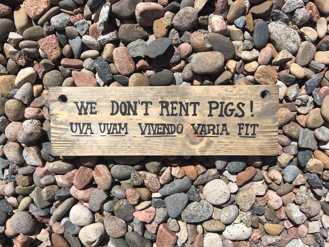 Surprising We Don T Rent Pigs Pictures