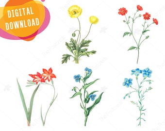 Flowers clip art set Digital floral image Botanical illustration INSTANT DOWNLOAD - use for scrapbooking, postcards, stickers, invitations
