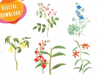 Floral clipart set Digital flowers INSTANT DOWNLOAD Floral decorations Flower clipart - use for handmade, scrapbooking, postcards, stickers