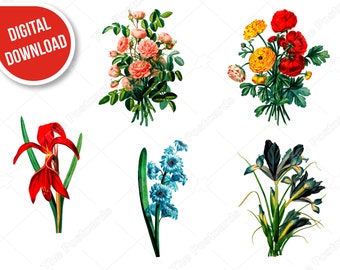 May include: Five different types of flowers, including a bouquet of pink roses, a bouquet of yellow and red flowers, a red flower with green leaves, a blue flower with green leaves, and a dark blue flower with green leaves.
