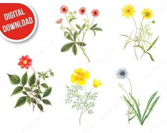 Instant download Digital flowers clip art Flowers collection Colorful flower image use for scrapbooking, invitations, printing on fabric