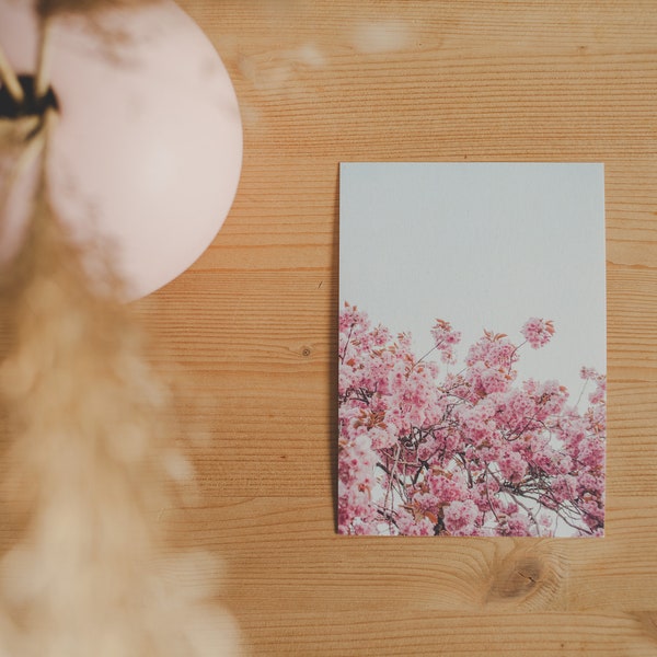 Postcard Blossom 4