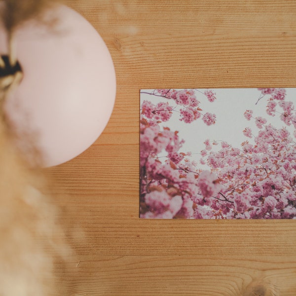 Postcard Blossom 6