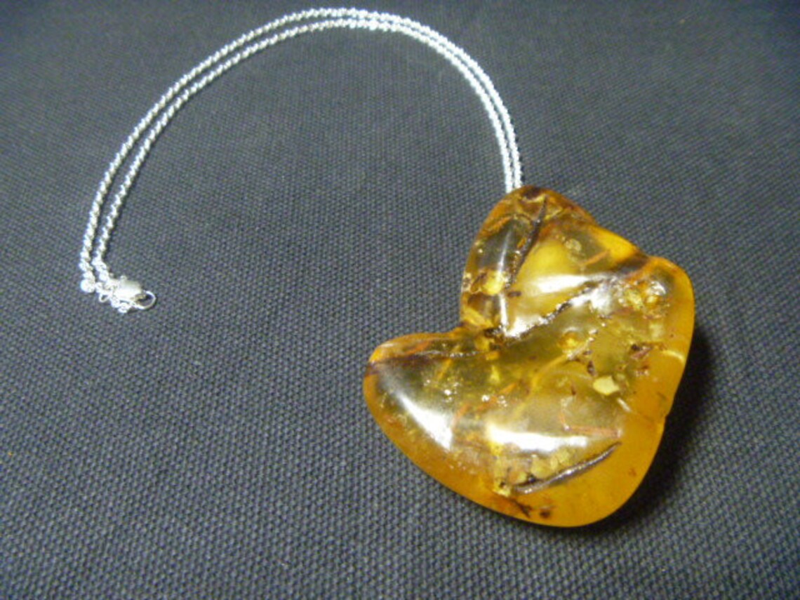 New Zealand Kauri Tree Resin Necklace Etsy