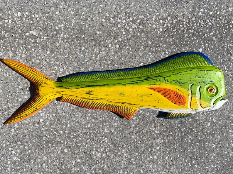 39 Mahi Bull Dolphin Wood Sculpture Hand Crafted Etsy