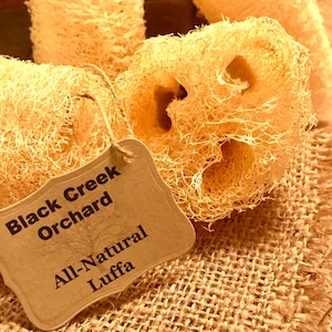 Luffah, Luffa, Loofa, Natural Sponge Exfoliant, Homegrown, Organic, Scrub, 4-6&quot;