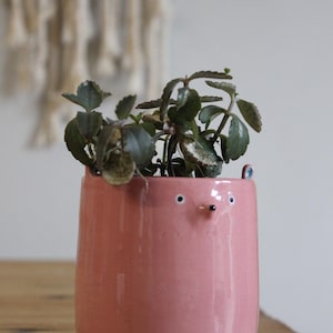 Creature Plant Pot