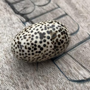 May include: An oval-shaped object with a cream-colored base and a dense pattern of dark brown, irregular spots. The object features a distinct horizontal seam running around its circumference, dividing it into two separate, interlocking halves.