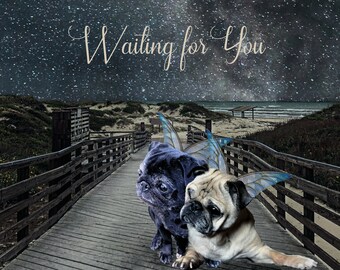 Pug download free Pug download free