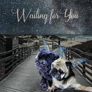Pet Loss Gift Grief Gift Rainbow Bridge Pug Gift Pet Loss Magnet Angel Gift Pug Angel Pet Memorial Gift Pug Memorial Dog Loss Gift