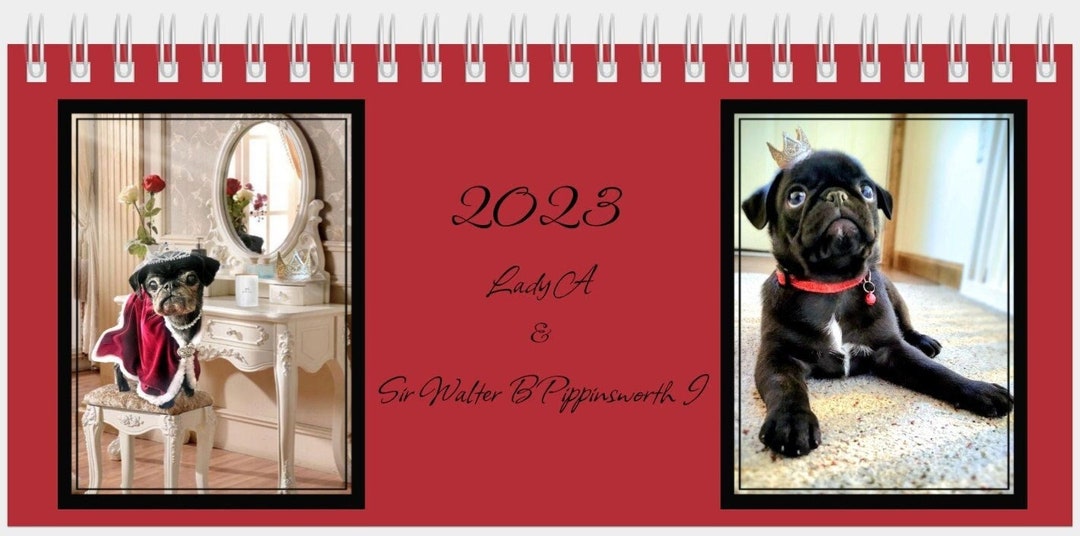 2023-calendar-pug-calendar-pug-desk-calendar-monthly-calendar-etsy