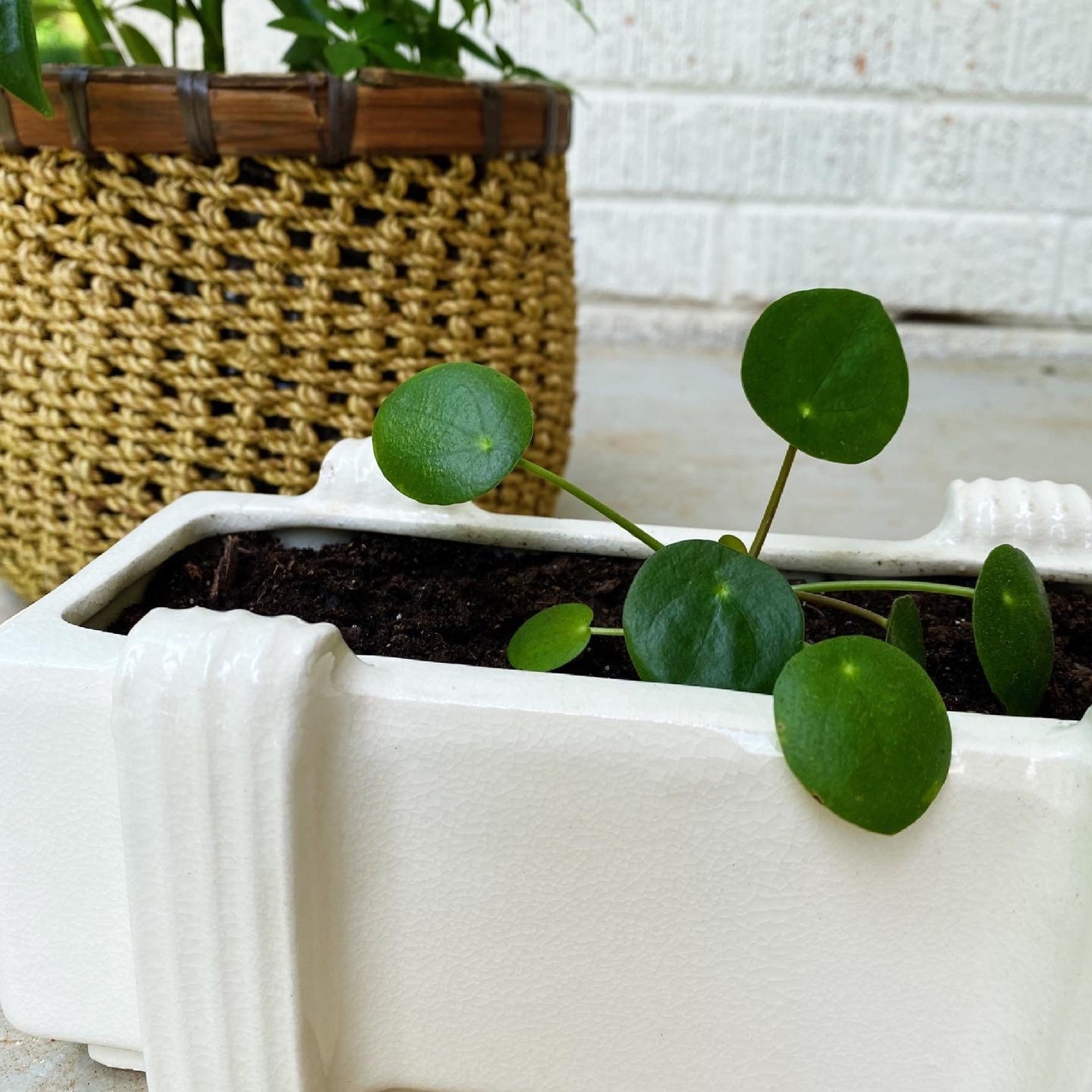 Plantadora blanca moderna de mediados de siglo | Etsy